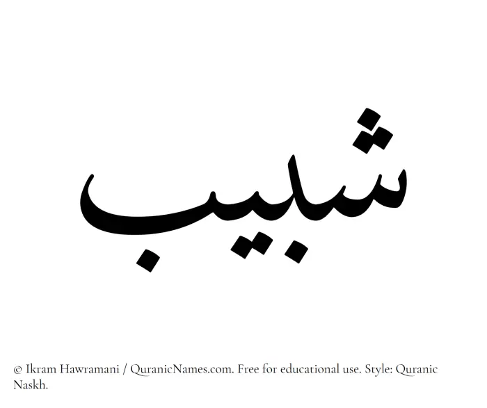 The Muslim name Shabeeb written in Quranic naskh script