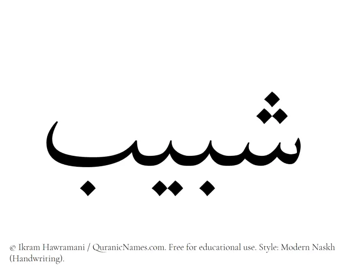 The Muslim name Shabeeb written in naskh script