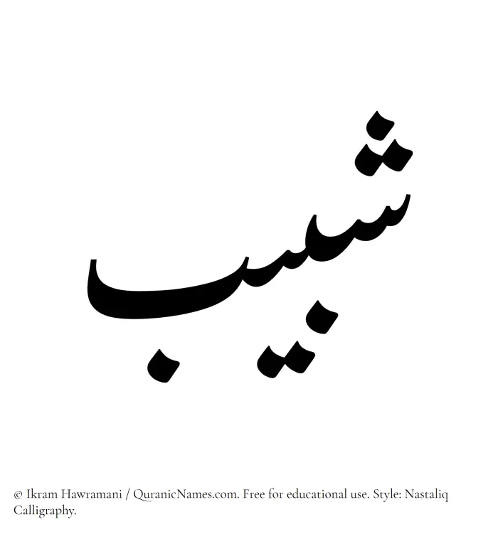 The Muslim name word Shabeeb written in Nastaliq calligraphic script