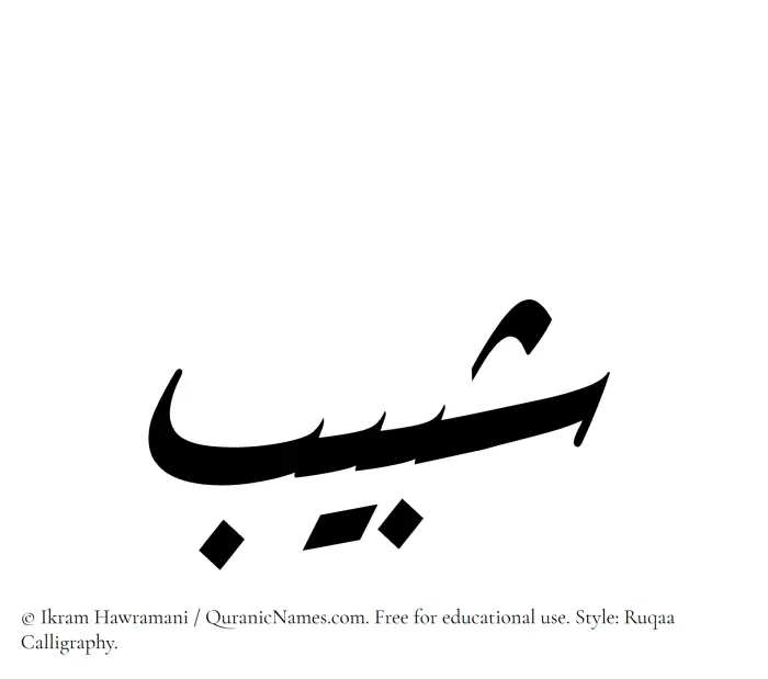 The Muslim name Shabeeb written in Ruqaa calligraphic script