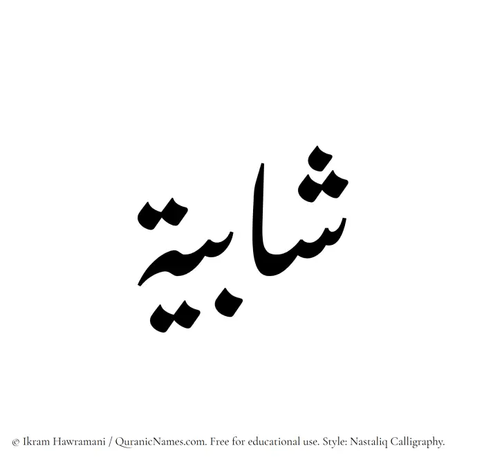 The Muslim name word Shabiyyah written in Nastaliq calligraphic script