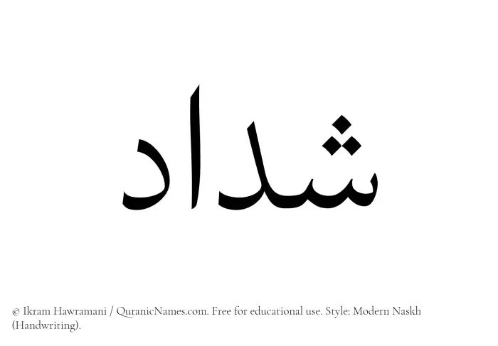 The Muslim name Shaddad written in naskh script