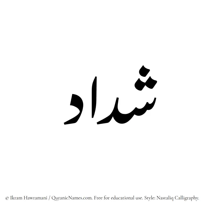The Muslim name word Shaddad written in Nastaliq calligraphic script