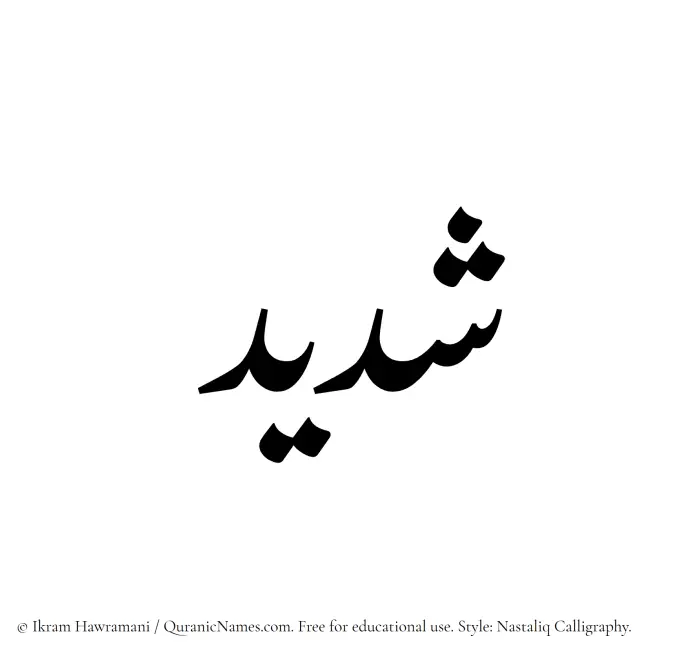 The Muslim name word Shadid written in Nastaliq calligraphic script