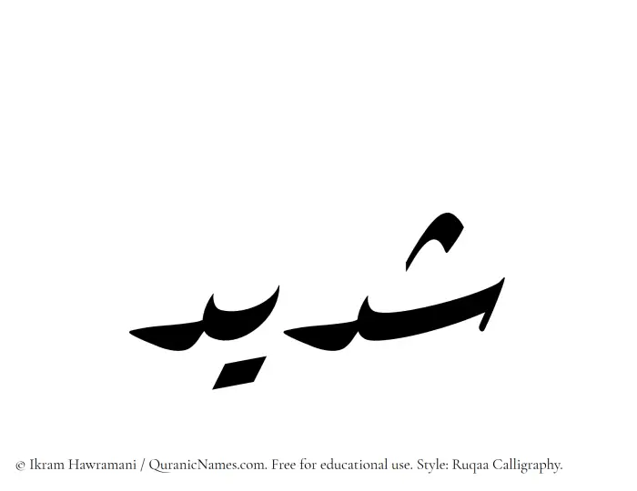 The Muslim name Shadid written in Ruqaa calligraphic script