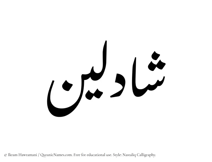 The Muslim name word Shadleen written in Nastaliq calligraphic script