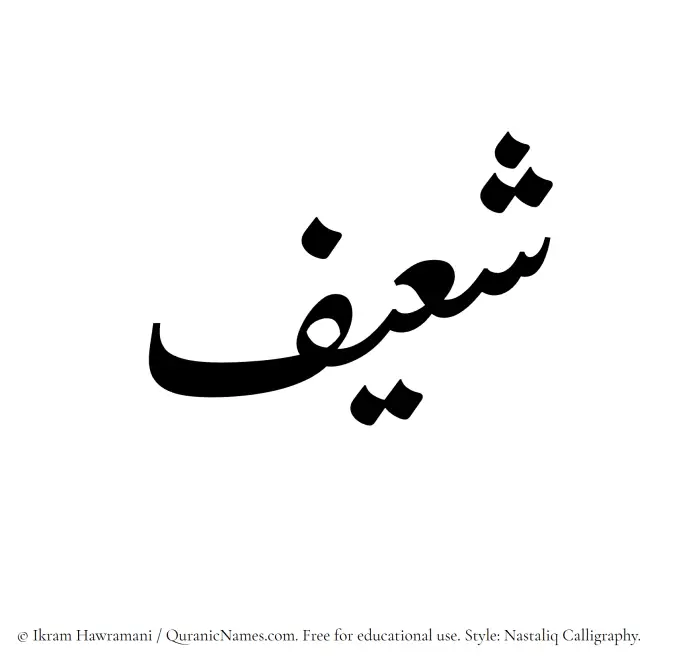 The Muslim name word Shaeef written in Nastaliq calligraphic script