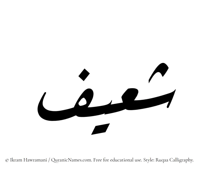 The Muslim name Shaeef written in Ruqaa calligraphic script