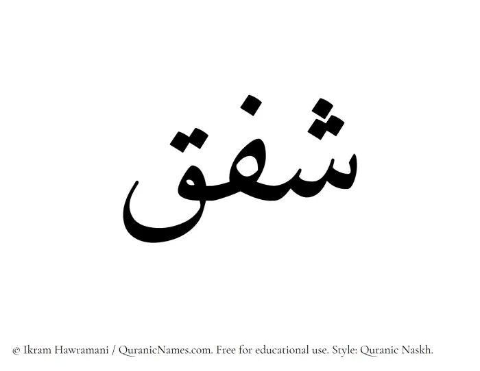 The Muslim name Shafaq written in Quranic naskh script