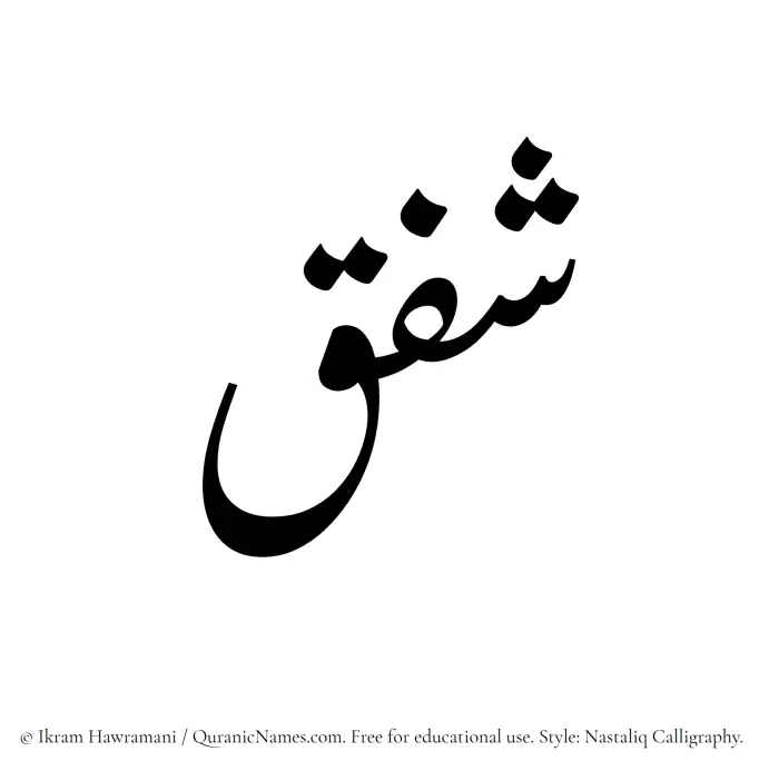 The Muslim name word Shafaq written in Nastaliq calligraphic script