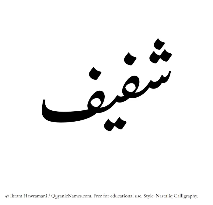 The Muslim name word Shafeef written in Nastaliq calligraphic script