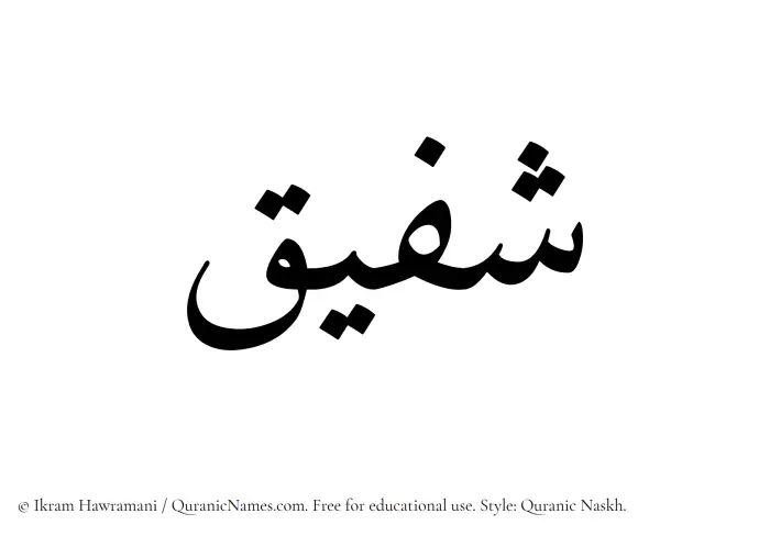 The Muslim name Shafiq written in Quranic naskh script