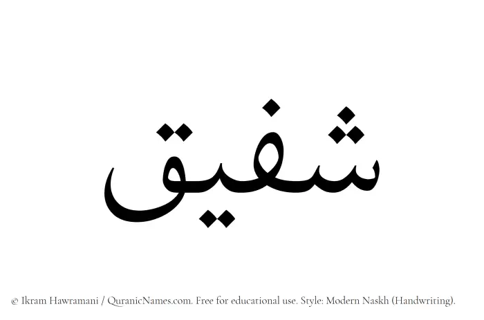 The Muslim name Shafiq written in naskh script