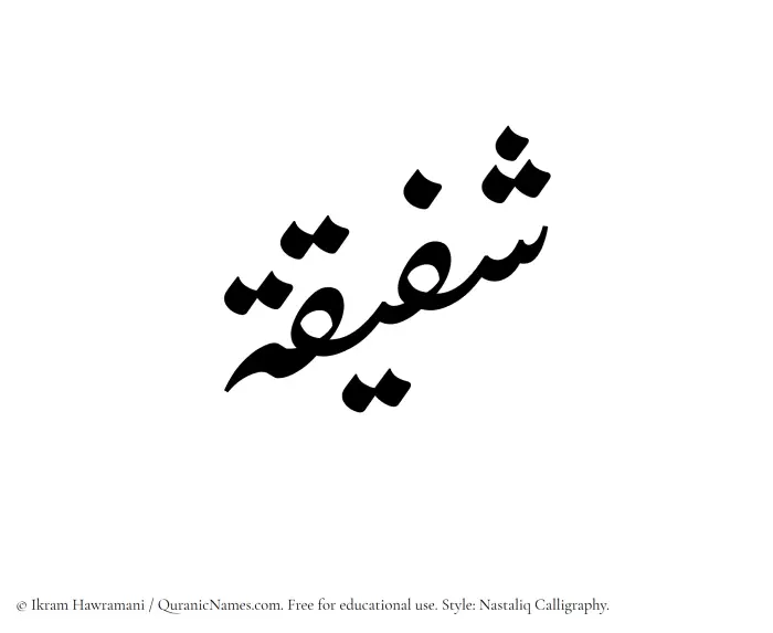 The Muslim name word Shafiqa written in Nastaliq calligraphic script
