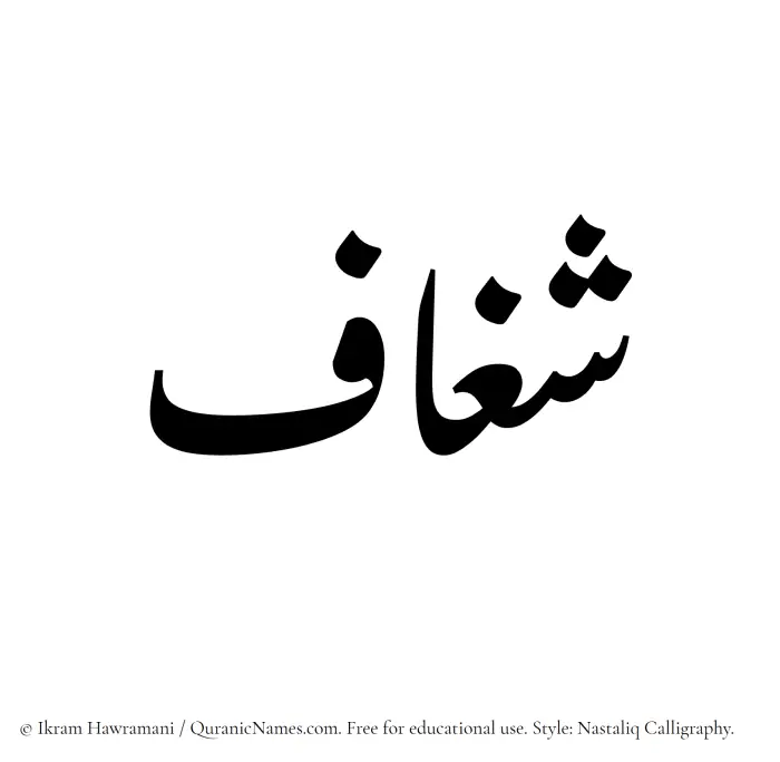 The Muslim name word Shaghaaf written in Nastaliq calligraphic script