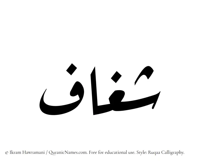 The Muslim name Shaghaaf written in Ruqaa calligraphic script