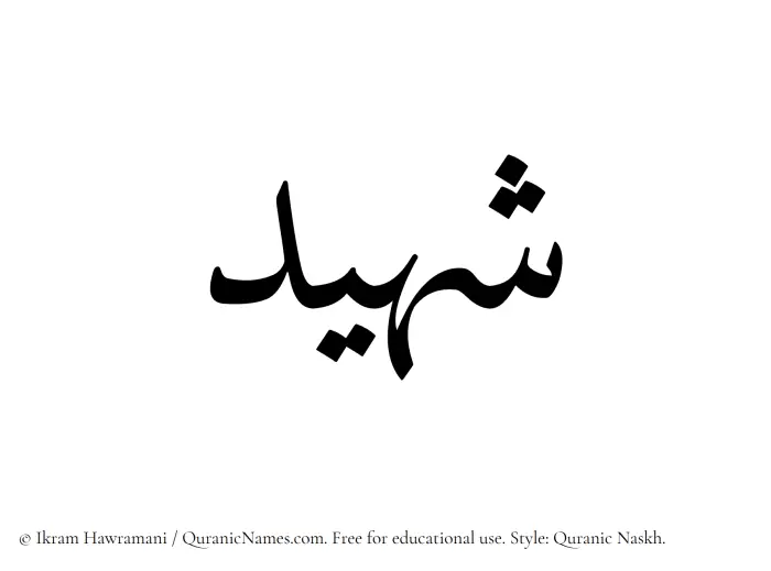 The Muslim name Shaheed written in Quranic naskh script