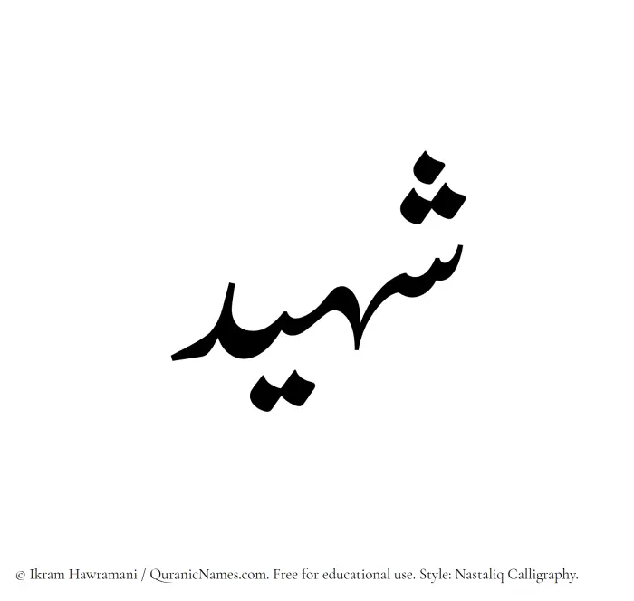 The Muslim name word Shaheed written in Nastaliq calligraphic script