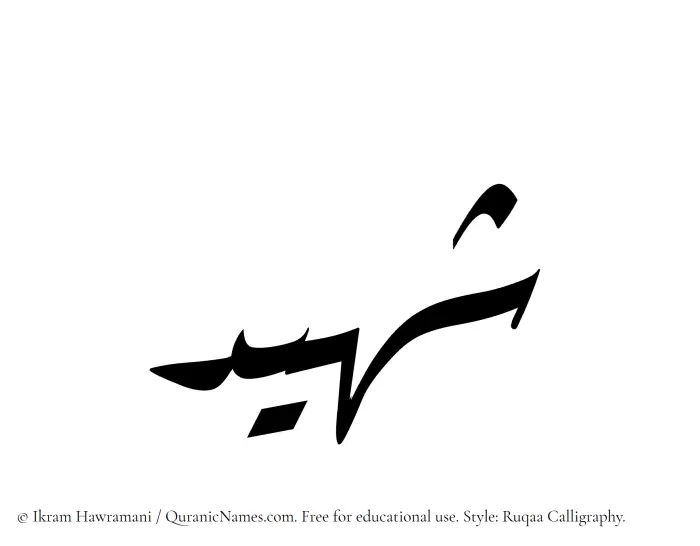 The Muslim name Shaheed written in Ruqaa calligraphic script