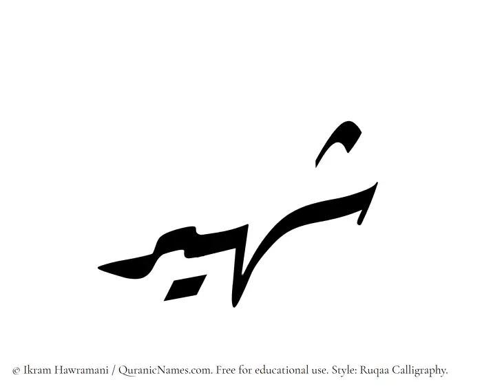 The Muslim name Shaheer written in Ruqaa calligraphic script