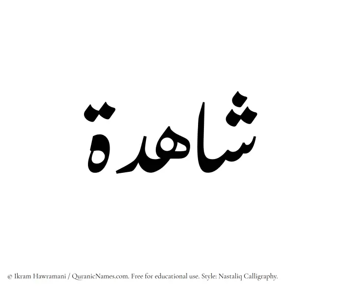 The Muslim name word Shahidah written in Nastaliq calligraphic script