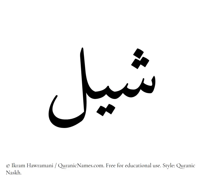 The Muslim name Shail written in Quranic naskh script