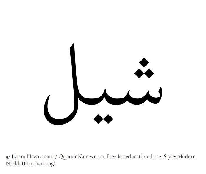 The Muslim name Shail written in naskh script