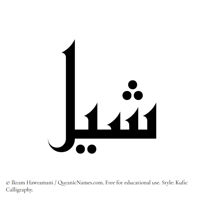 The Muslim name Shail written in Kufi/Kufic calligraphic script