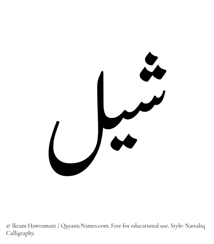 The Muslim name word Shail written in Nastaliq calligraphic script
