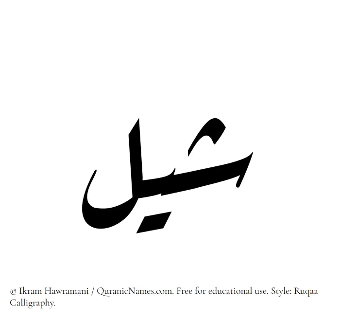 The Muslim name Shail written in Ruqaa calligraphic script