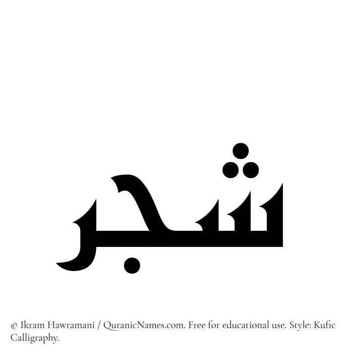 The Muslim name Shajar written in Kufi/Kufic calligraphic script