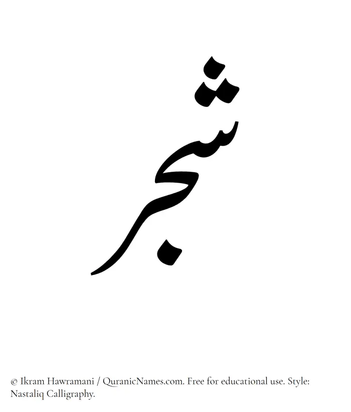 The Muslim name word Shajar written in Nastaliq calligraphic script