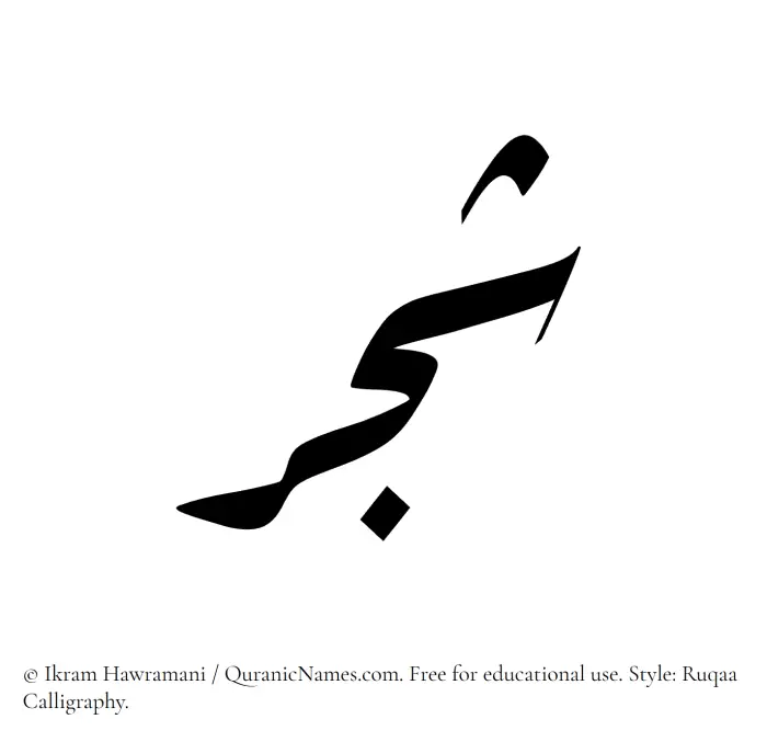 The Muslim name Shajar written in Ruqaa calligraphic script