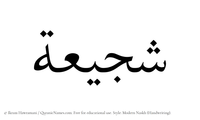 The Muslim name Shajeeah written in naskh script