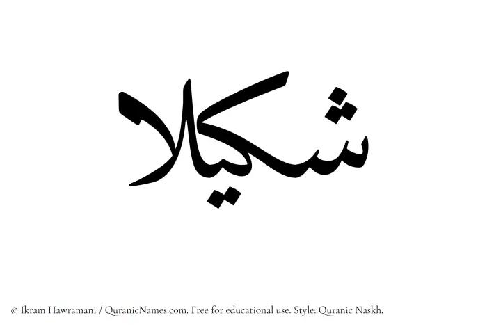 The Muslim name Shakila written in Quranic naskh script