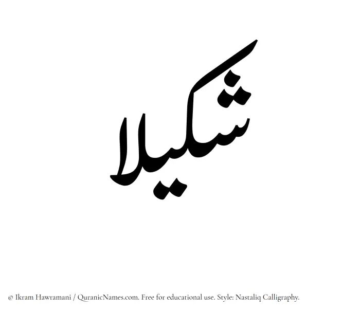 The Muslim name word Shakila written in Nastaliq calligraphic script