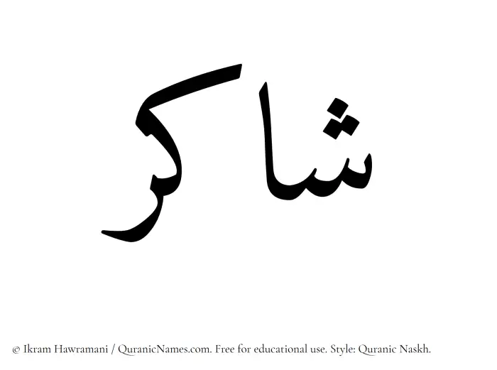 The Muslim name Shakir written in Quranic naskh script