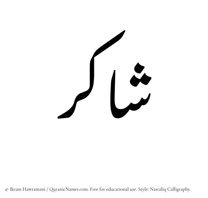 The Muslim name word Shakir written in Nastaliq calligraphic script