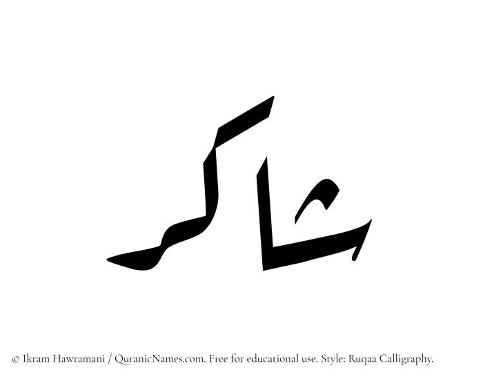 The Muslim name Shakir written in Ruqaa calligraphic script