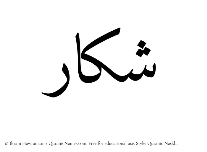 The Muslim name Shakkar written in Quranic naskh script