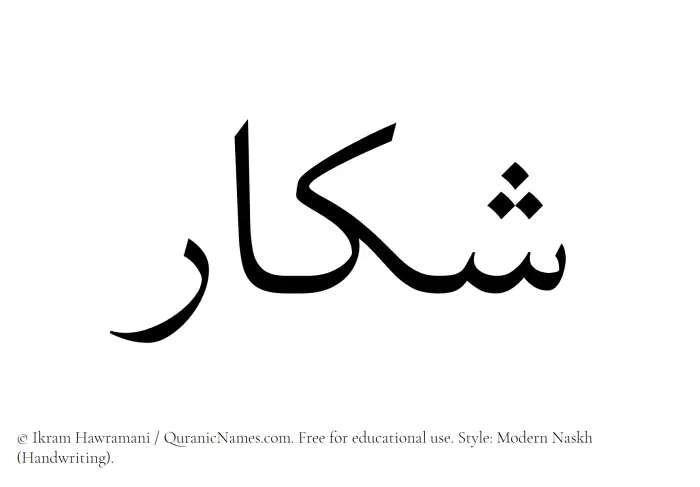 The Muslim name Shakkar written in naskh script