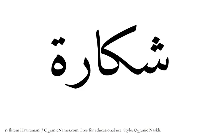 The Muslim name Shakkarah written in Quranic naskh script