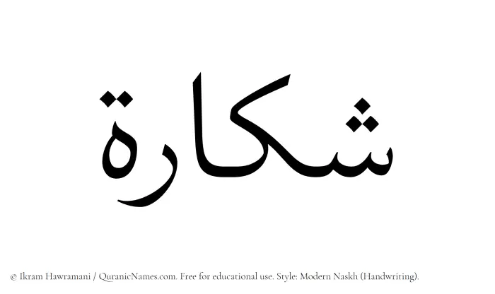 The Muslim name Shakkarah written in naskh script