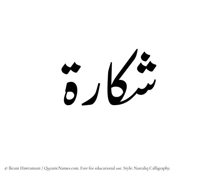 The Muslim name word Shakkarah written in Nastaliq calligraphic script