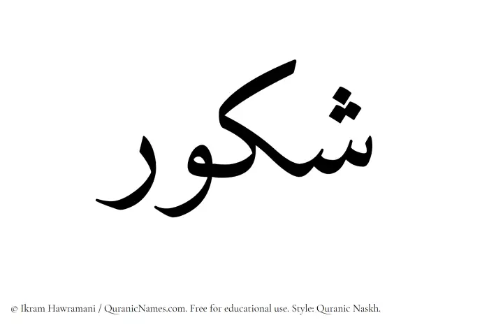The Muslim name Shakur written in Quranic naskh script