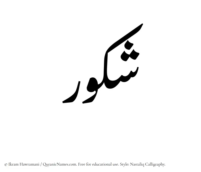 The Muslim name word Shakur written in Nastaliq calligraphic script