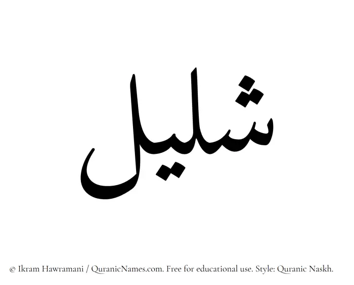 The Muslim name Shaleel written in Quranic naskh script