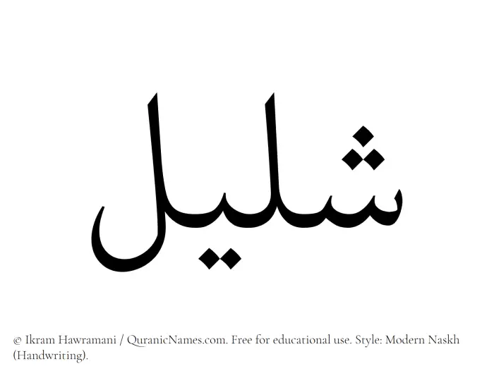 The Muslim name Shaleel written in naskh script