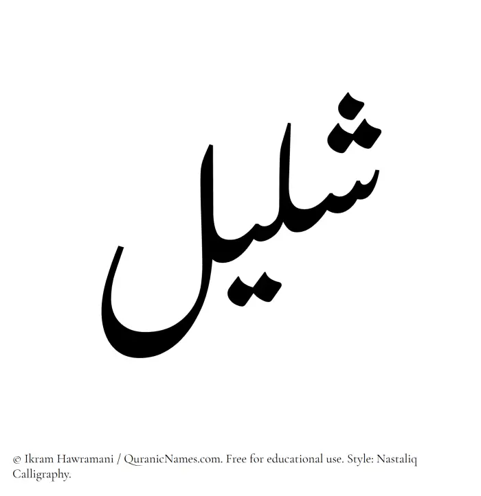 The Muslim name word Shaleel written in Nastaliq calligraphic script