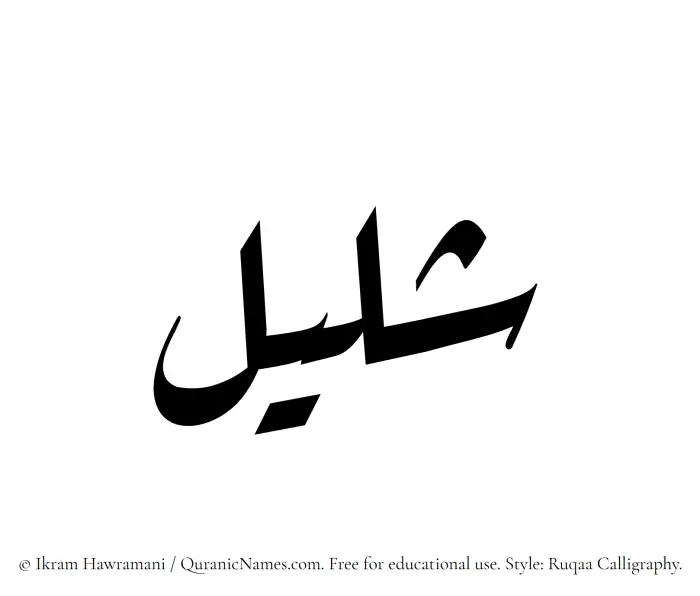The Muslim name Shaleel written in Ruqaa calligraphic script